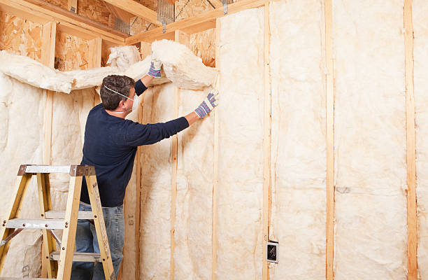 Eco-Friendly Insulation Solutions in Floresville, TX